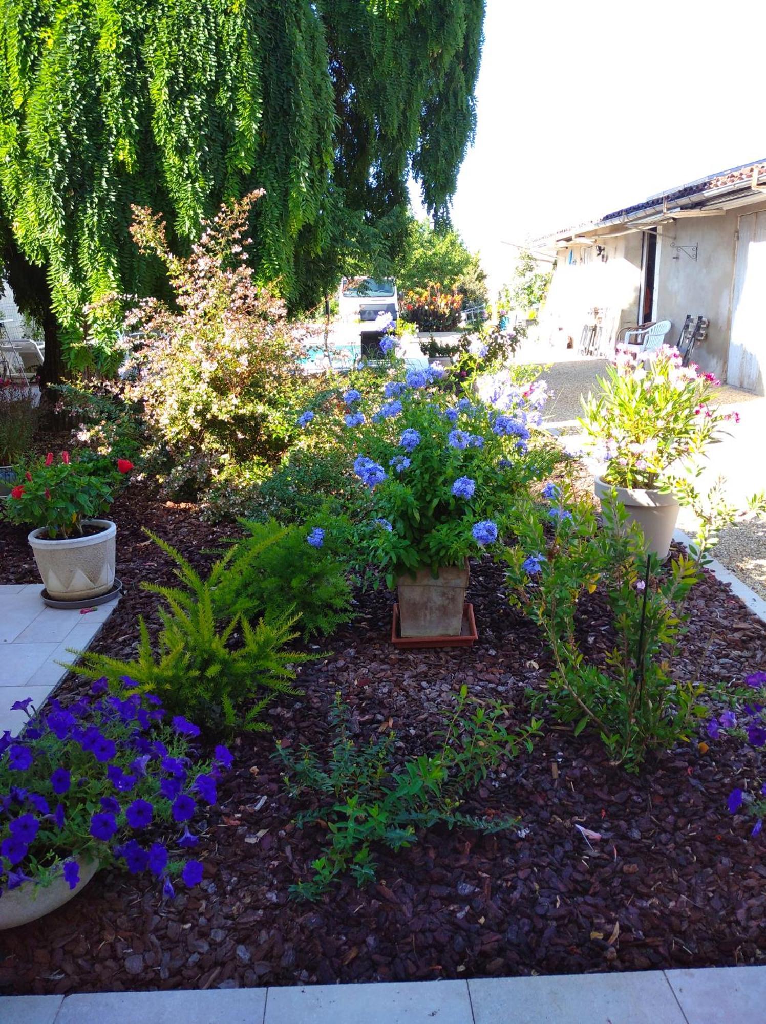 L'Acacia Bed & Breakfast Bergerac Exterior photo